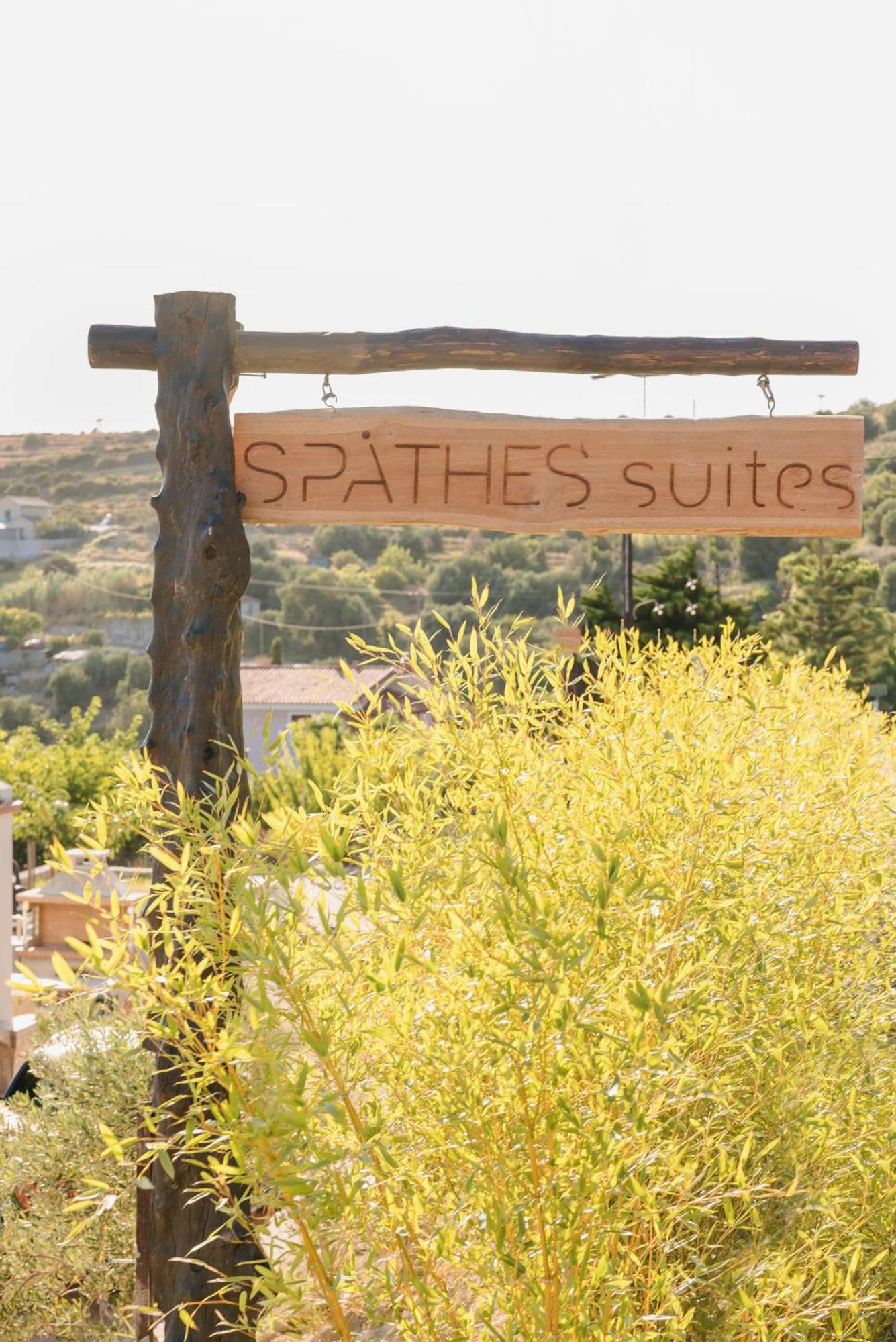 Spathes Suites Kefalonia - Luxury Suites Ratzaklion Екстер'єр фото